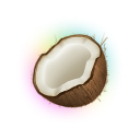 Coconote logo